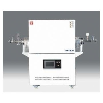 ���̩˹�����/��չ�ʽ�tTF16P60S